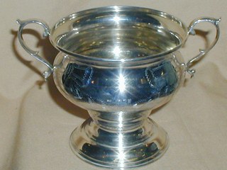 Silver Bowl