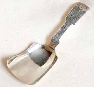 Caddy Spoon