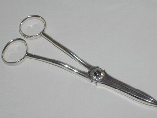 Silver Grape Shears