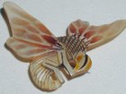 Art Nouveau Bee Brooch