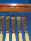 Victorian Fish Knife & Fork Cutlery Cased Set Ivory Handles